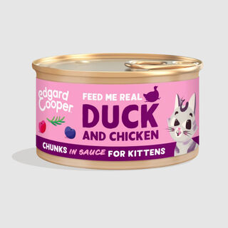 Edgard & Cooper Kitten Pedaços de Pato e Frango com molho em lata para gatos